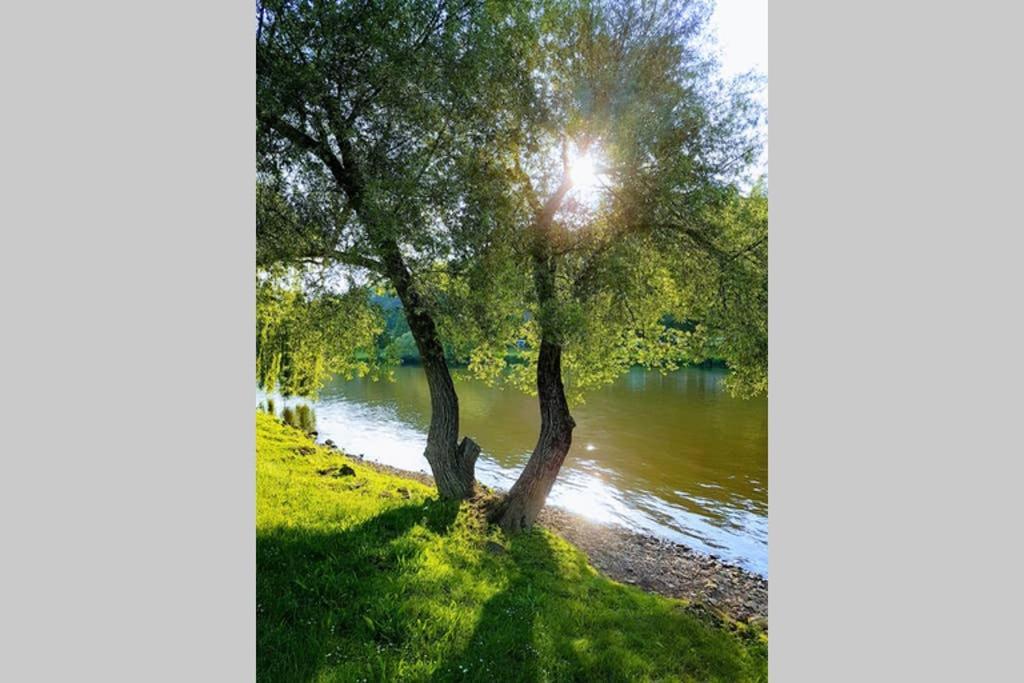 Ferienwohnung 'Burgblick' 韦特海姆 外观 照片